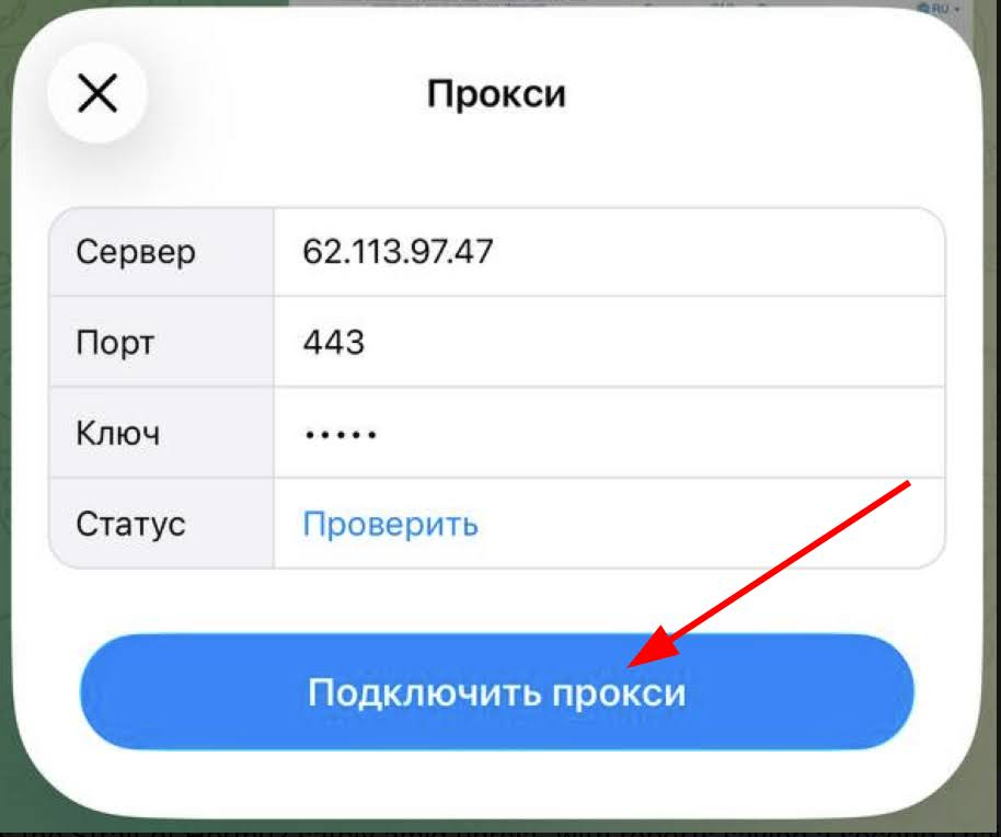 Telegram — экран подключения прокси
